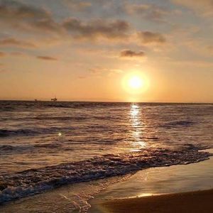 Meet your Posher, Maya